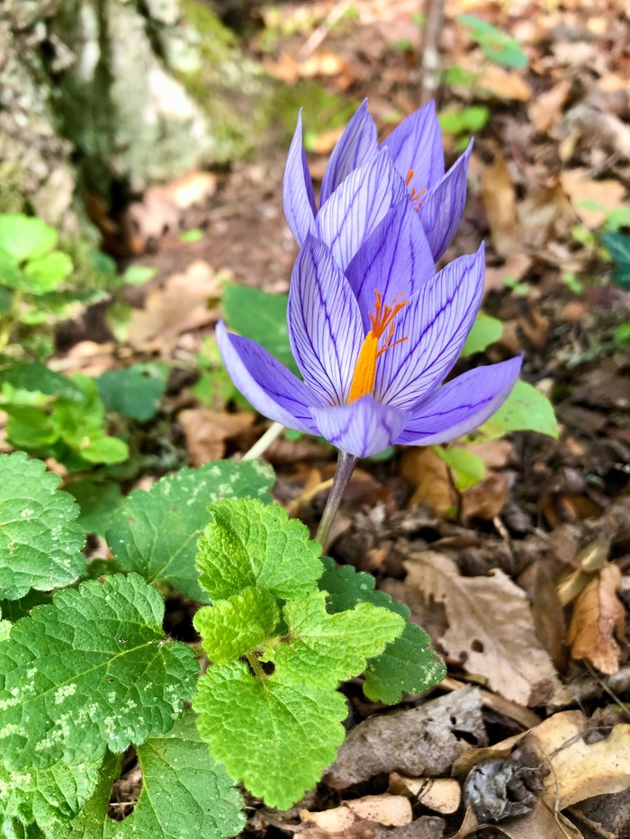Фото К. Красивой.