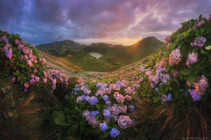 Азорские острова. Фото Д. Коржонова.