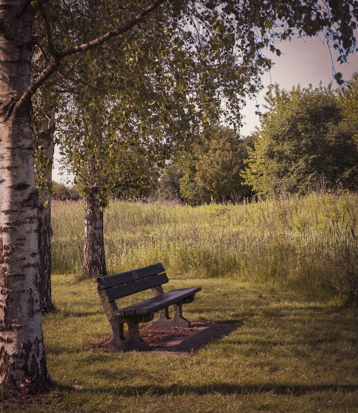 Фото со звуком