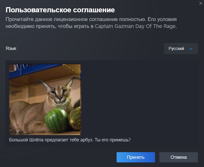 Что у вас здесь происходит ?