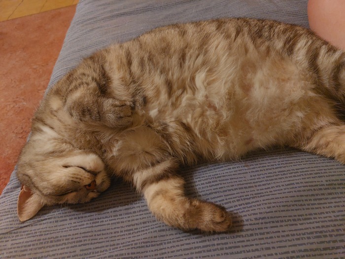 Ответ на пост «Баба дура не потому что баба, а потому что дура»