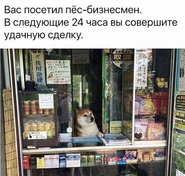 Пёс-бизнесмен