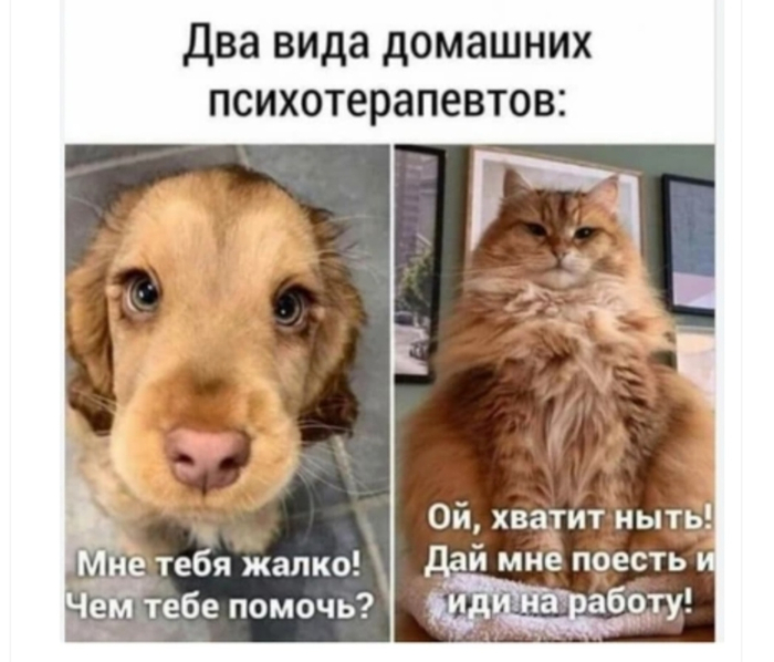 Кого выбираете вы?)