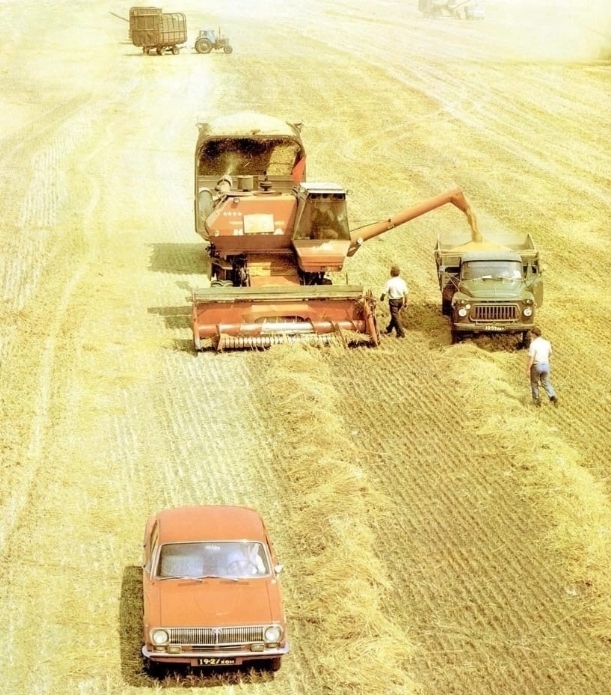 Это было время, когда каждая копна, каждая тонна — были не цифрами в отчётах, а гордостью целого колхоза, района, области