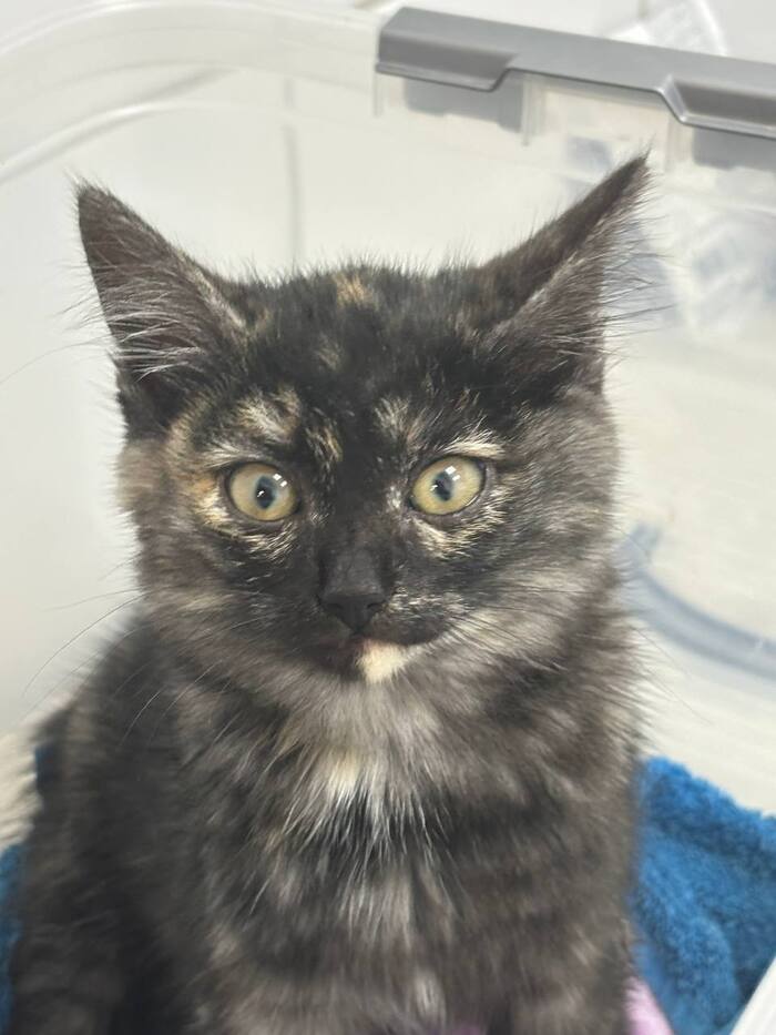 �����-������� � ������ ����