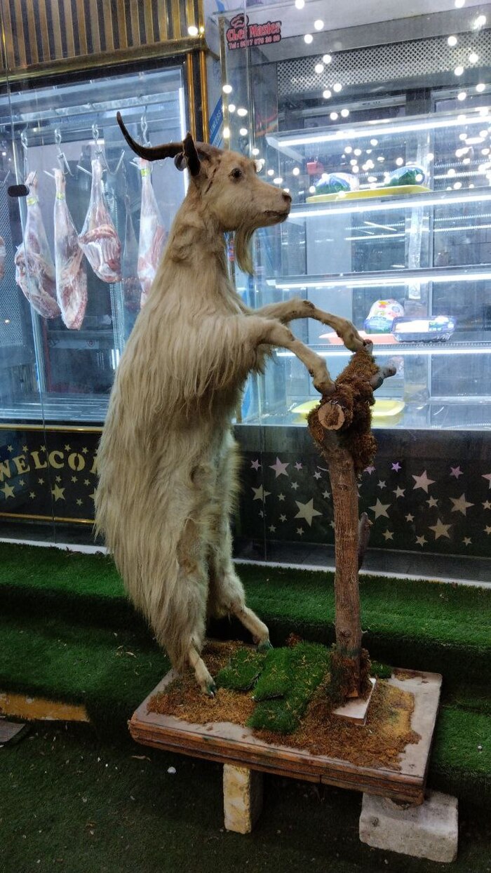 Памятник самокатчику