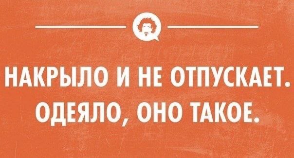 Наркотик этой осени