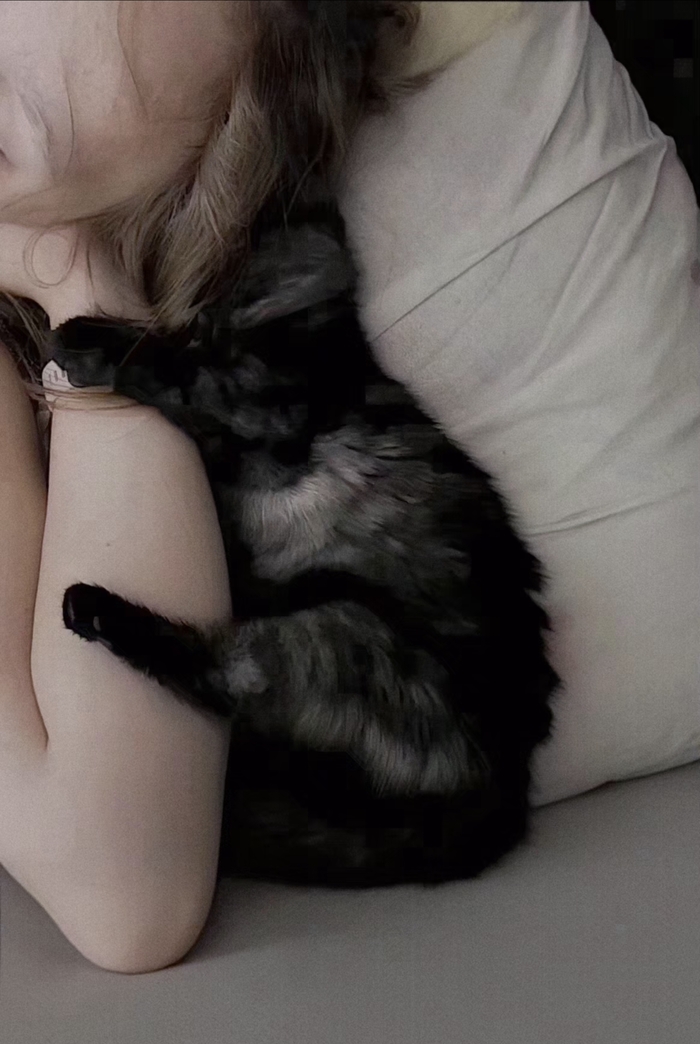 Кошкоребнку совершенно удобно))