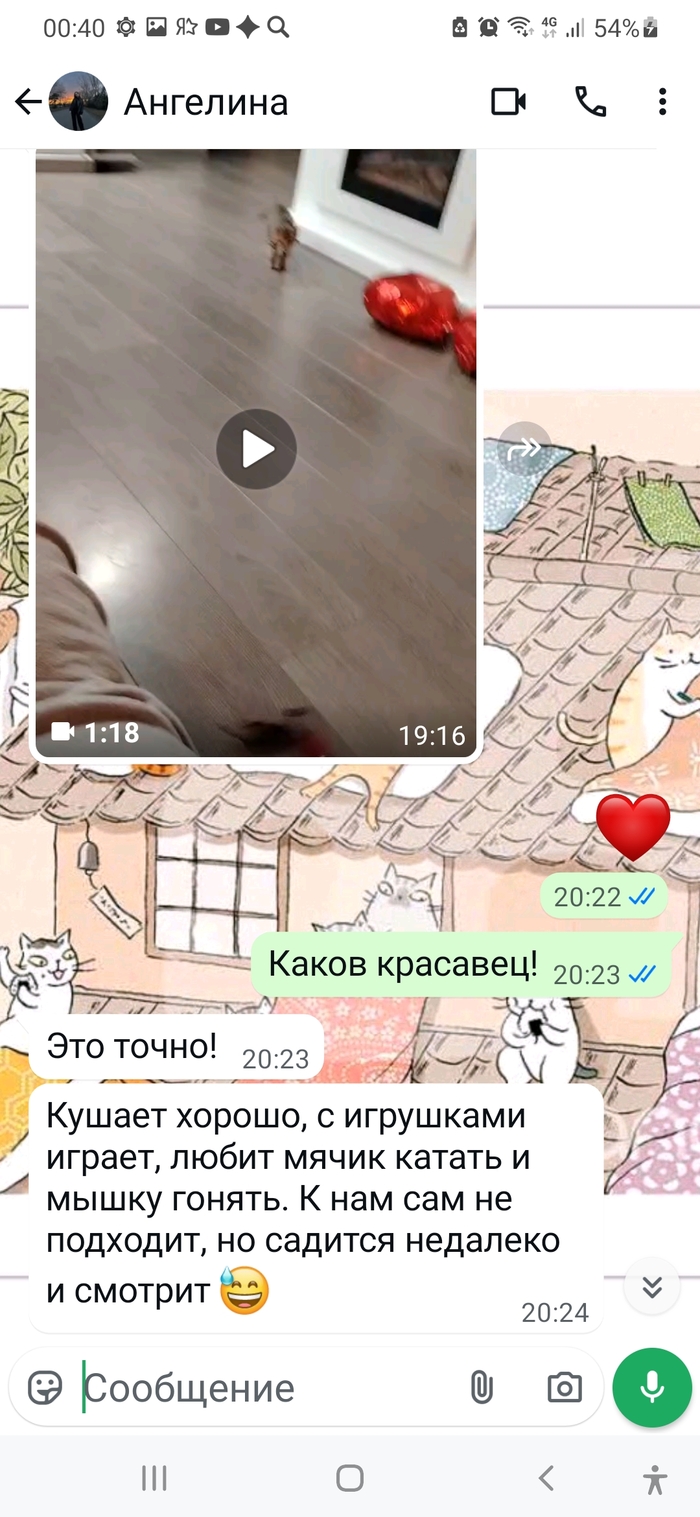 Продолжение поста «Жизнь взаймы»