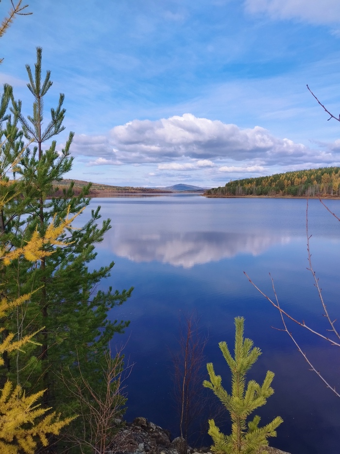 Ответ на пост «Ветки»