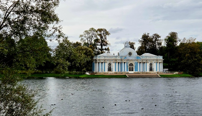 �������� "����"