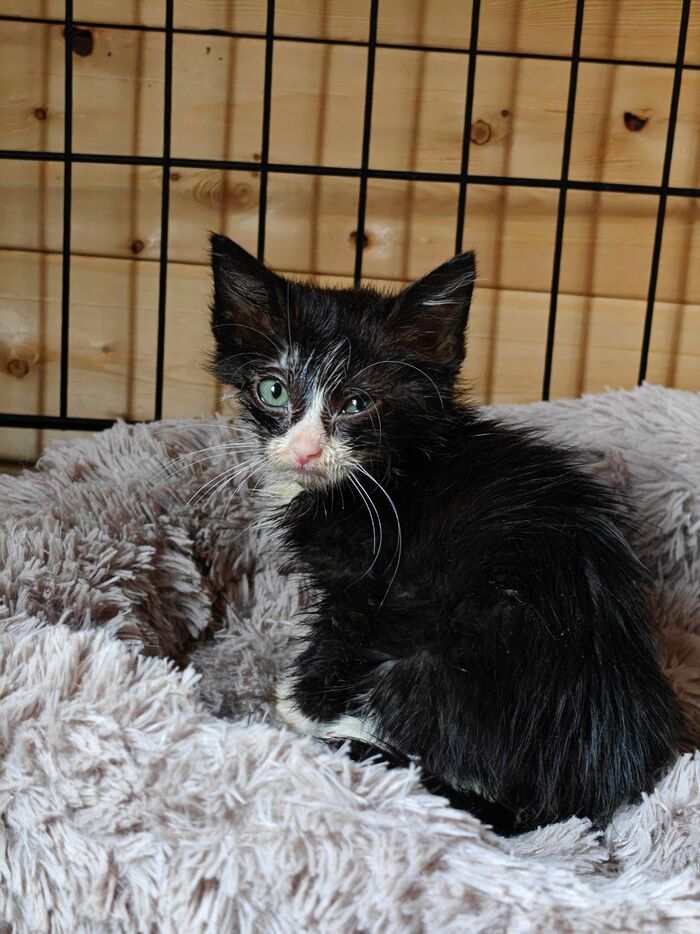   ! ,           ,     !