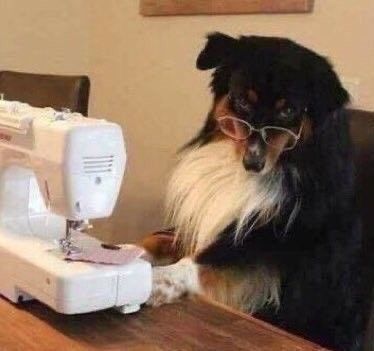 Выступления