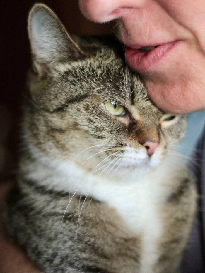 !     &#x1F440;    !     ! &#x2764;&#xFE0F;