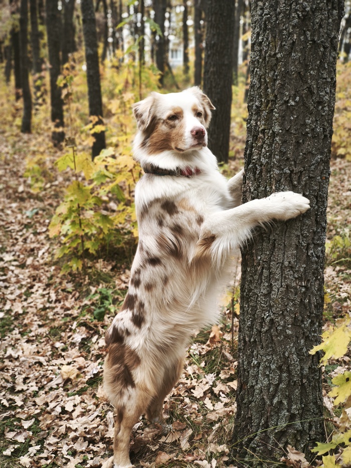 Осеннего настроения в ленту!