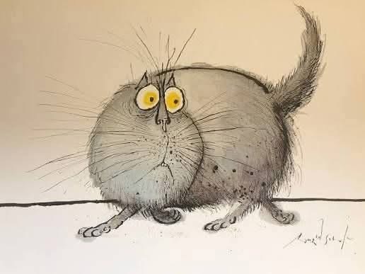 Инструкция к кошке