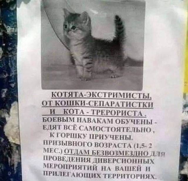     :-)
