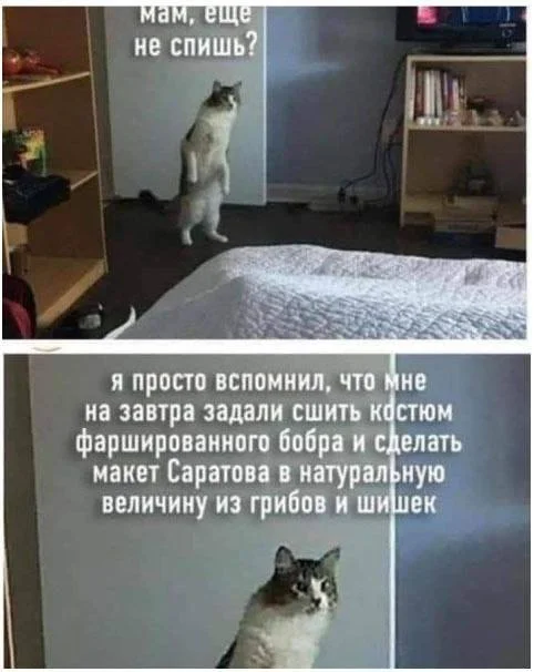 imprcu7l.webp