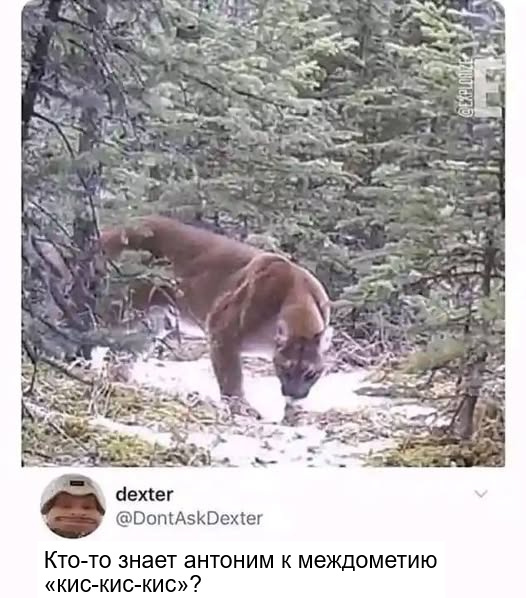  -, ?...