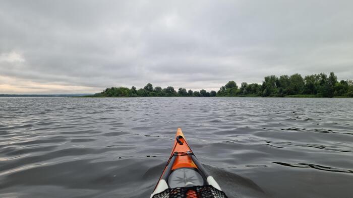 Тайный вход в дикие джунгли Волги.