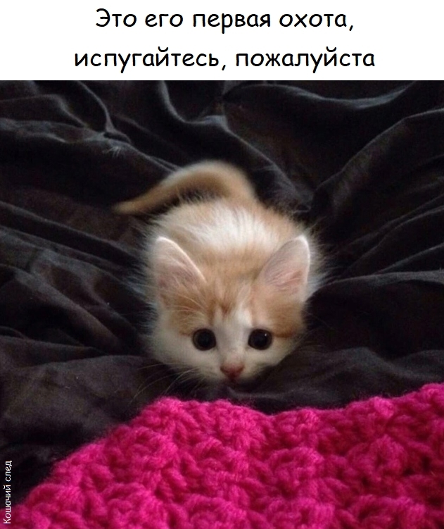    ,  !
