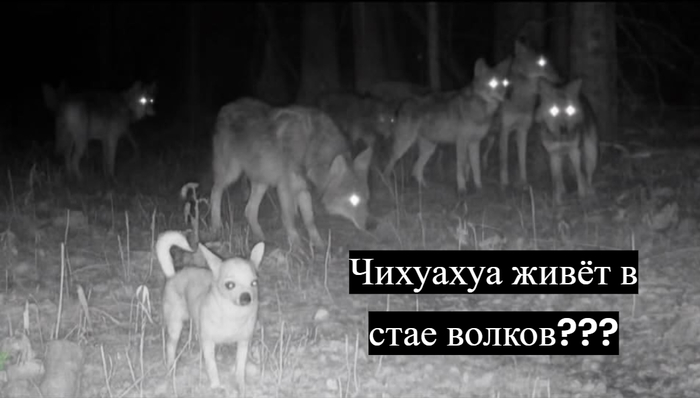        !