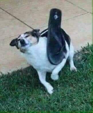  ,     .
