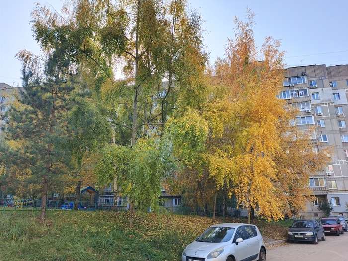 Зацените природный градиент осени