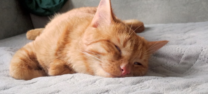 ����� ����� ���, ��� ����������� ������� �������� ������� �����, � � ������