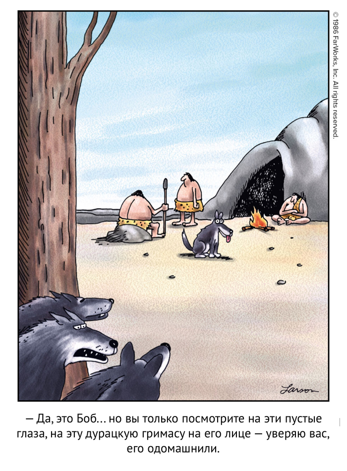 The Far Side #192