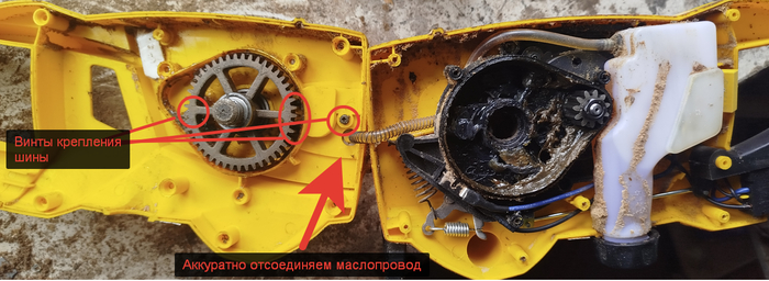 ������������ �������. ������ ���� ������������ �������.