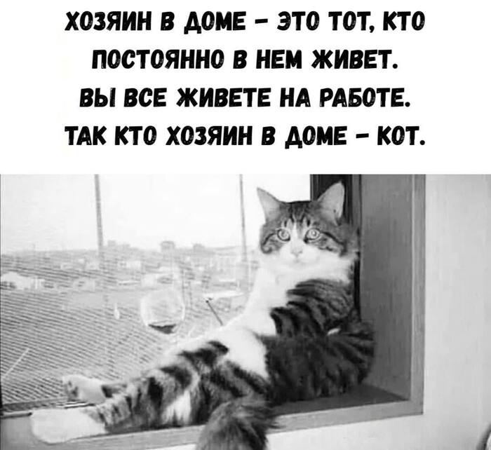 Кто действительно хозяин в доме: