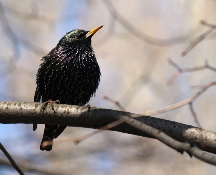   .   :  2025 ., . .  :  