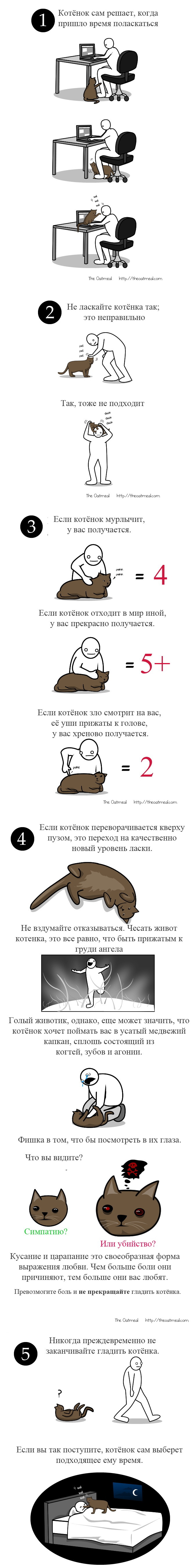 Как ласкать котёнка