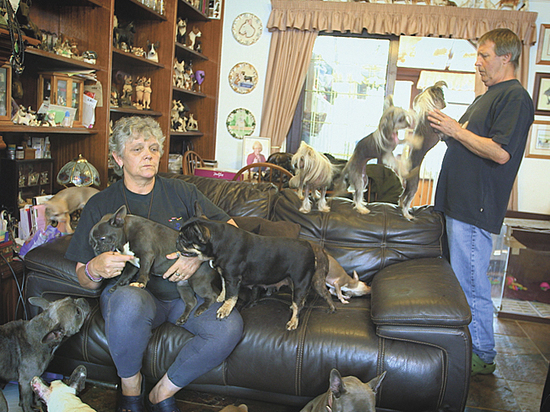 Зоошиза: ненормальное отношение к животным разрушает психику и семью