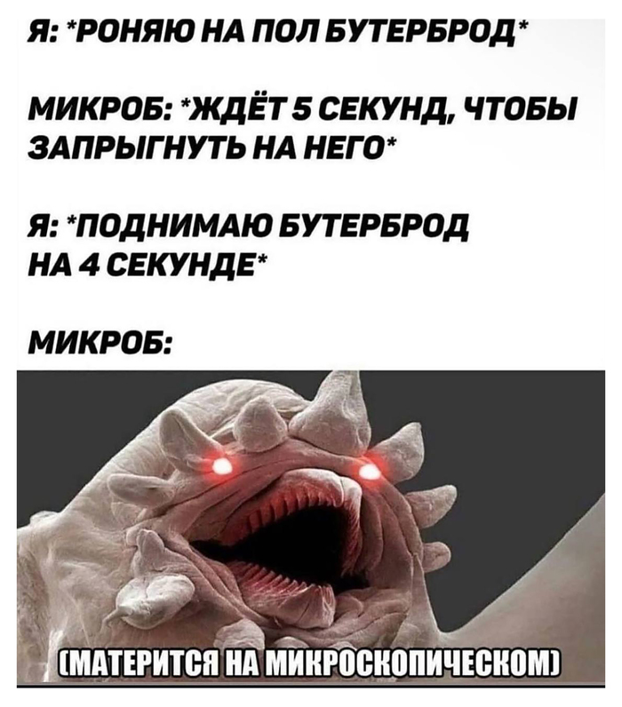 Правило пяти секунд