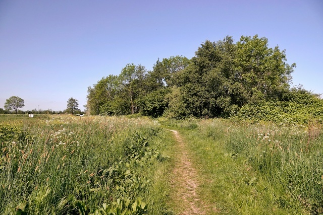 Вспоминая лето...