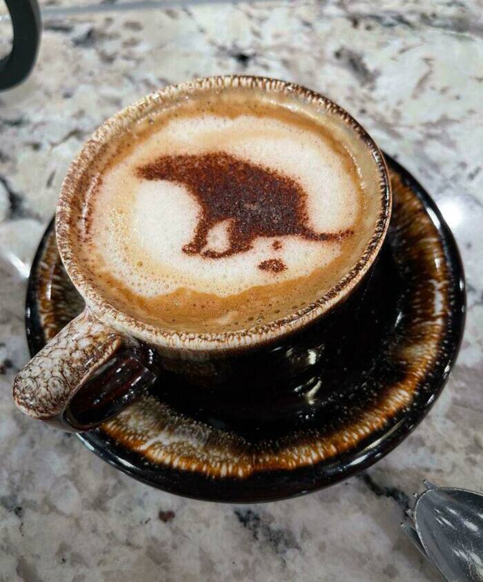 Знак производителя спортивной одежды ZaTaS'а как рисунок на поверхности капучино