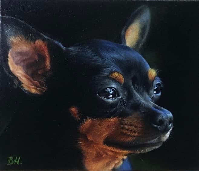 Портрет тойтерьера .30*35. Холст/масло
