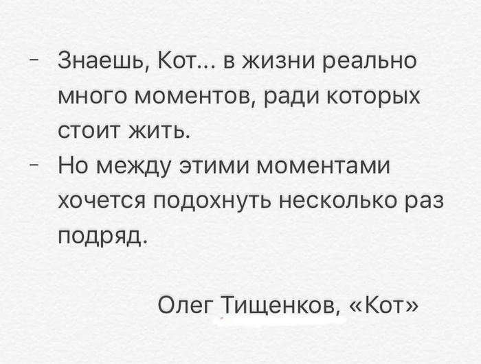 Кот, который повидал некоторое дерьмо...