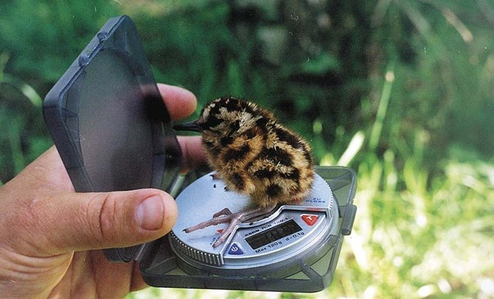      4 .    ,    22     !