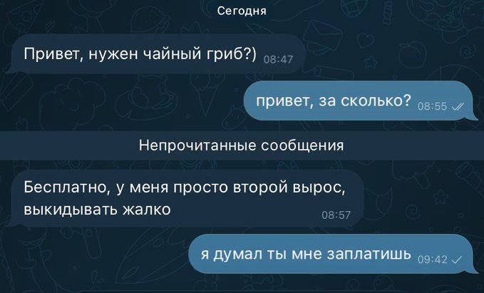 Ситуация патовая