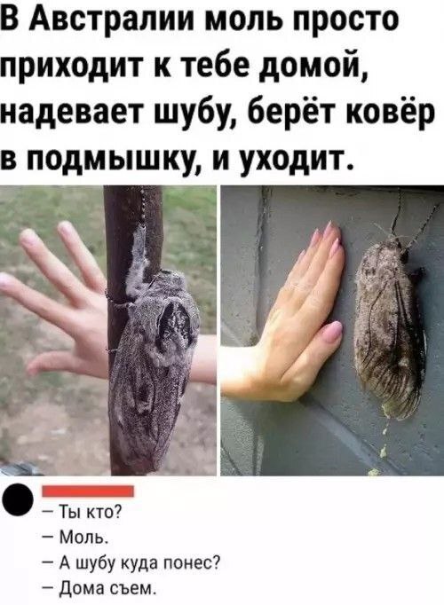 Вот это размерчик