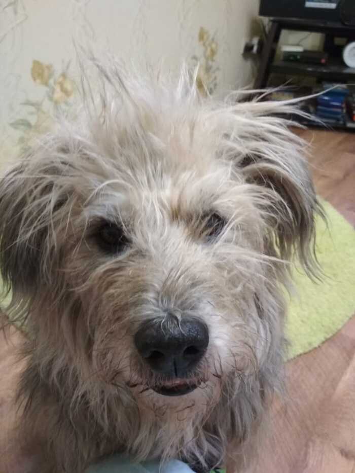 Ответ на пост «Усыпили»