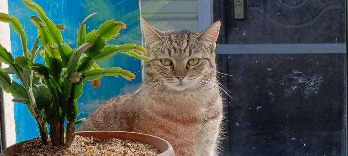 И ко мне не идёт.. 😭