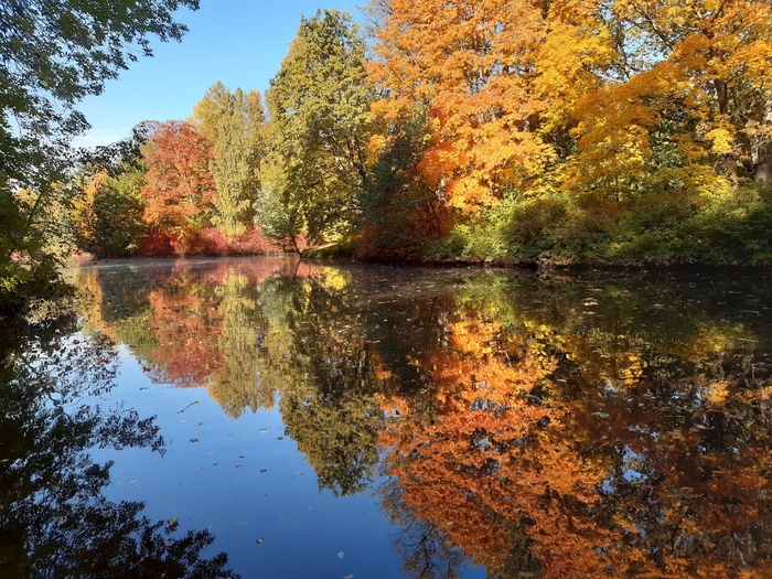 Елагин остров. Фото Е. Цветковой.