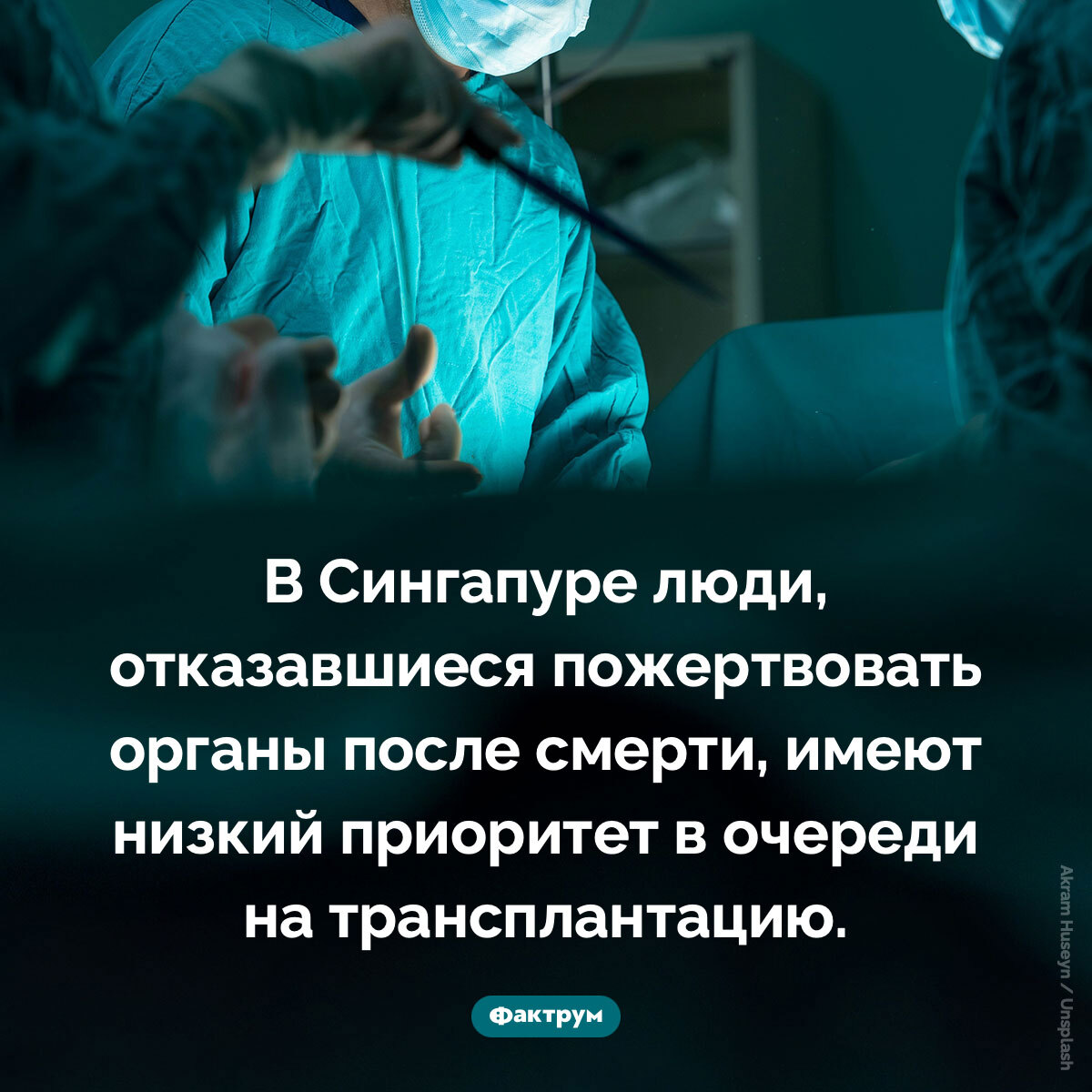 Interesting Facts #202 - Picture with text, Informative, A selection, Facts, Factrum