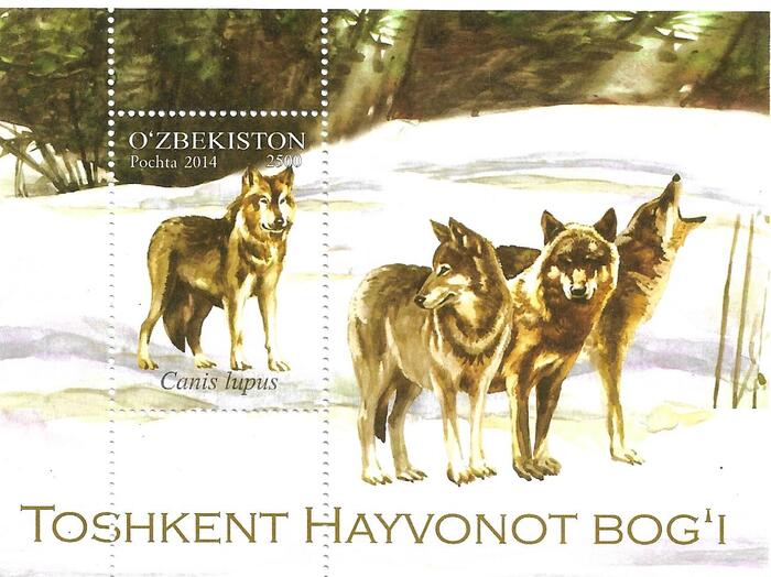 Оказывается, в Узбекистане есть снег и волки!