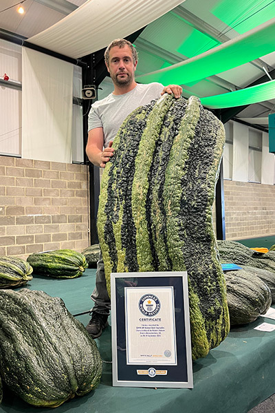 Кабачок Marrow 1 метр 45 сантиметров. Великобритания.