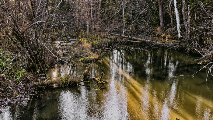 Осенняя фоточка